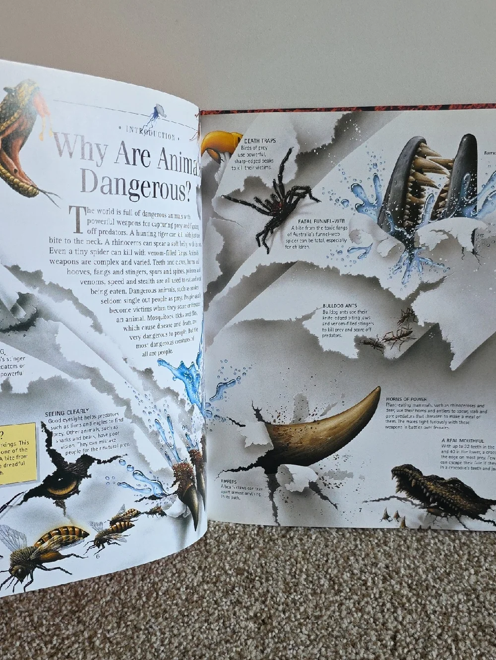 Children's Animal Book Set Dangerous Animals, Elephants, Bears, Giraffes, Rhinos